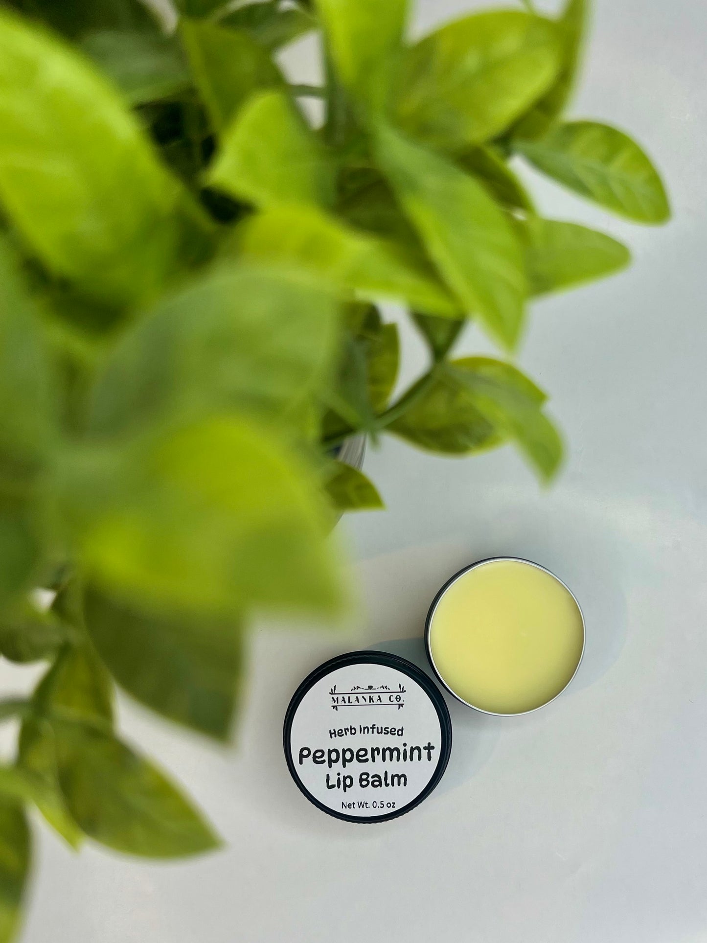 Peppermint Lip Balm